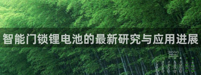 开丰娱乐违法吗：智能门锁锂电池的最新研究与应用进展