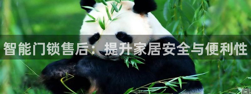 开丰娱乐登入：智能门锁售后：提升家居安全与便利性