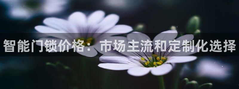 开丰娱乐注册电7O777：智能门锁价格：市场主流和定制化选择