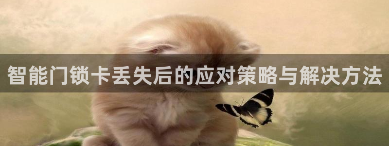 开丰娱乐上：智能门锁卡丢失后的应对策略与解决方法