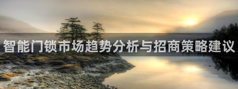 开丰娱乐网址：智能门锁市场趋势分析与招商策略建议
