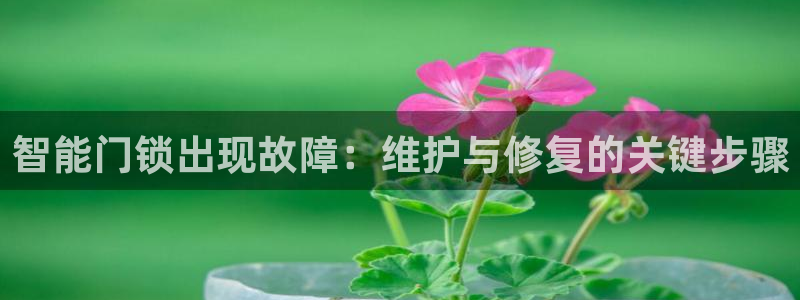 开丰娱乐下7O667：智能门锁出现故障：维护与修复的关键步骤