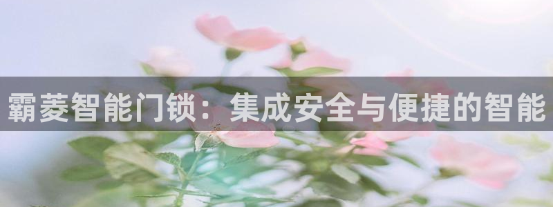 开丰娱乐注册：霸菱智能门锁：集成安全与便捷的智能
