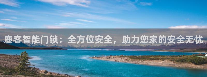 开丰娱乐乙833_43：鹿客智能门锁：全方位安全，助力您家的