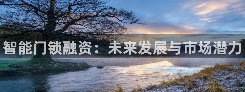 开丰娱乐于六七五一38：智能门锁融资：未来发展与市场潜力