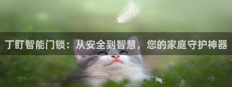 开丰娱乐万六七五一38：丁盯智能门锁：从安全到智慧，您的家庭