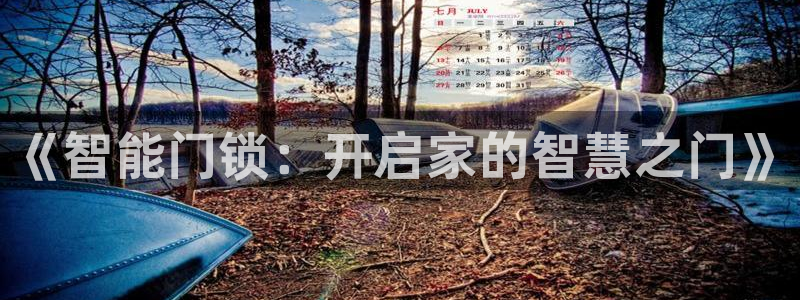 开丰娱乐咋7O777：《智能门锁：开启家的智慧之门》