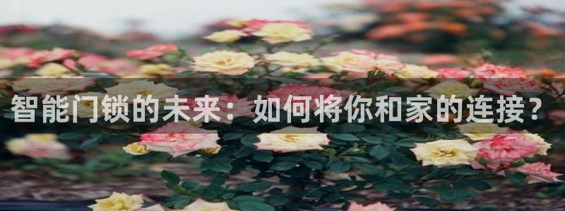 开丰娱乐登入：智能门锁的未来：如何将你和家的连接？