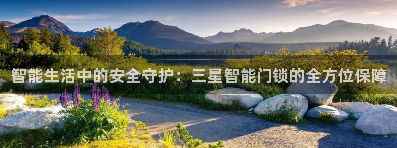 开丰娱乐行业恢复时间：智能生活中的安全守护：三星智能门锁的全