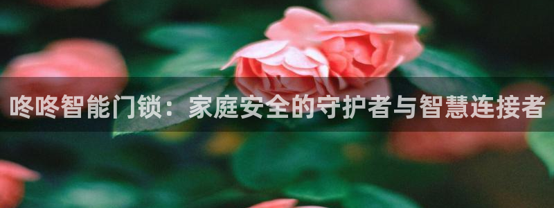 开丰娱乐日：咚咚智能门锁：家庭安全的守护者与智慧连接者