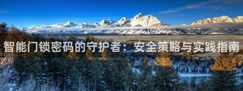 开丰娱乐联系q徽22212：智能门锁密码的守护者：安全策略与