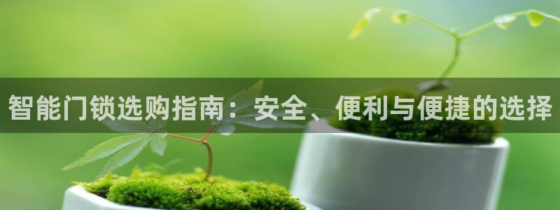 开丰娱乐登入：智能门锁选购指南：安全、便利与便捷的选择
