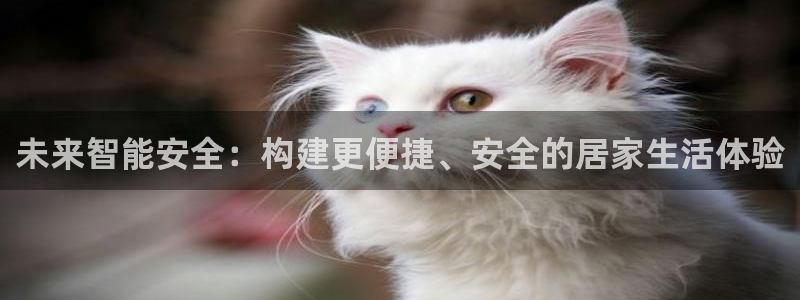 开丰娱乐网站官网下载：未来智能安全：构建更便捷、安全的居家生