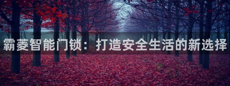 开丰娱乐不开了吗：霸菱智能门锁：打造安全生活的新选择