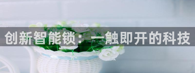 开丰娱乐官网平台网址：创新智能锁：一触即开的科技