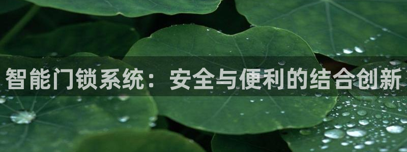 如何注册开丰娱乐账号：智能门锁系统：安全与便利的结合创新