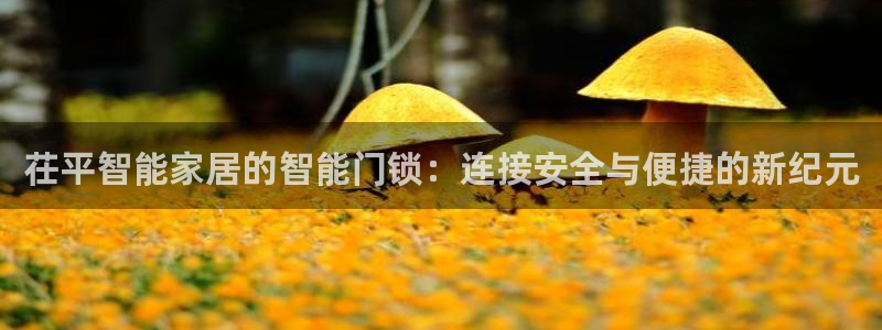 开丰娱乐注册：茌平智能家居的智能门锁：连接安全与便捷的新纪元