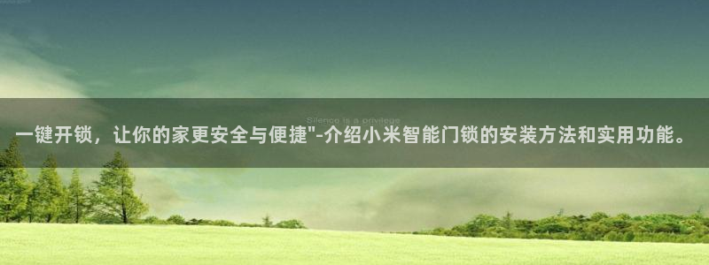 开丰娱乐平台提现失败：一键开锁，让你的家更安全与便捷\