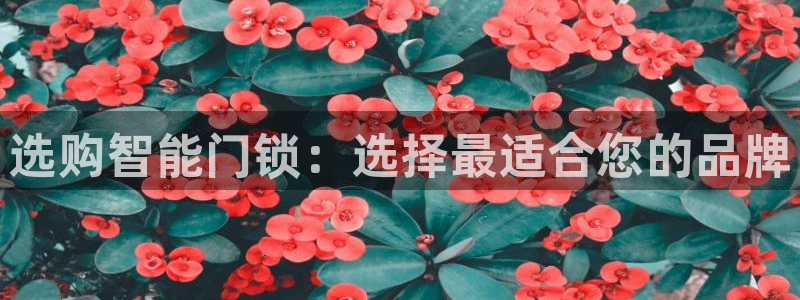 开丰娱乐平台登录：选购智能门锁：选择最适合您的品牌