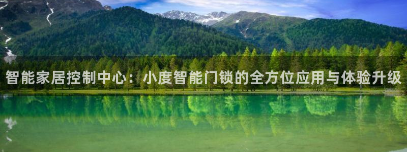 开丰娱乐日7O667：智能家居控制中心：小度智能门锁的全方位