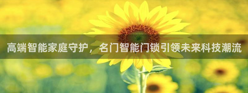 开丰娱乐更多平台：高端智能家庭守护，名门智能门锁引领未来科技