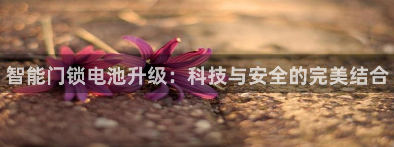 开丰娱乐注册系究耍333OO：智能门锁电池升级：科技与安全的