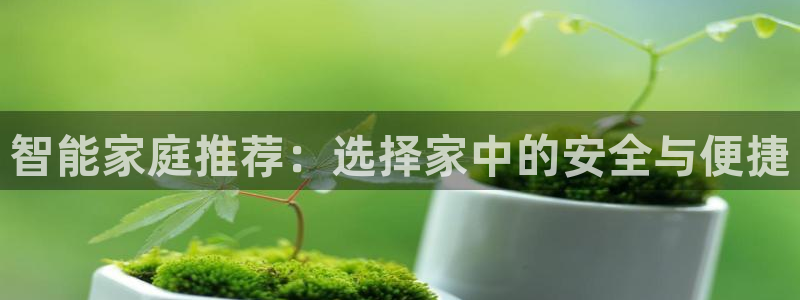 开丰娱乐平台官网网址