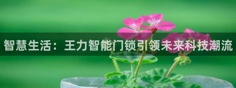 开丰娱乐月：智慧生活：王力智能门锁引领未来科技潮流
