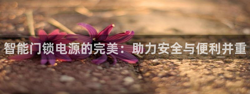开丰娱乐登录网址：智能门锁电源的完美：助力安全与便利并重
