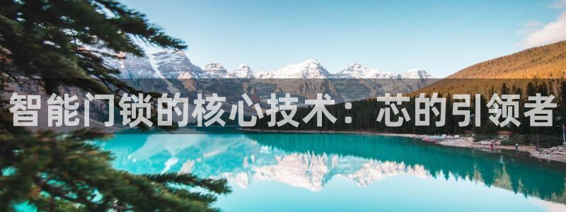 开丰娱乐线路：智能门锁的核心技术：芯的引领者
