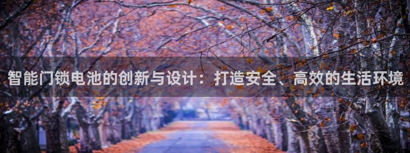 开丰娱乐科技：智能门锁电池的创新与设计：打造安全、高效的生活