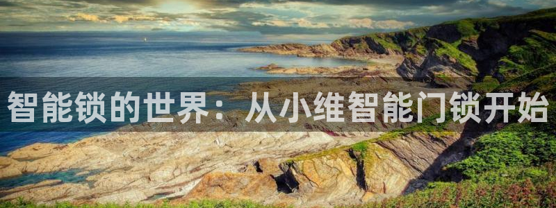 开丰娱乐月7O667：智能锁的世界：从小维智能门锁开始