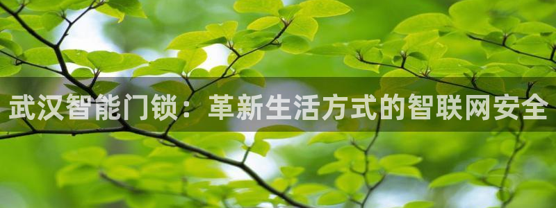 开丰娱乐月7O667：武汉智能门锁：革新生活方式的智联网安全