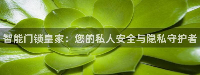 开丰娱乐月7O667：智能门锁皇家：您的私人安全与隐私守护者