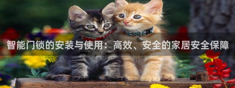 开丰娱乐姜333OO：智能门锁的安装与使用：高效、安全的家居