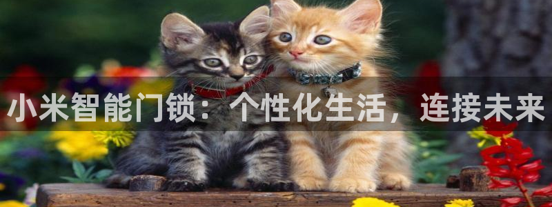 开丰娱乐平台地址在哪里：小米智能门锁：个性化生活，连接未来