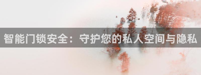 开丰娱乐官网电话：智能门锁安全：守护您的私人空间与隐私