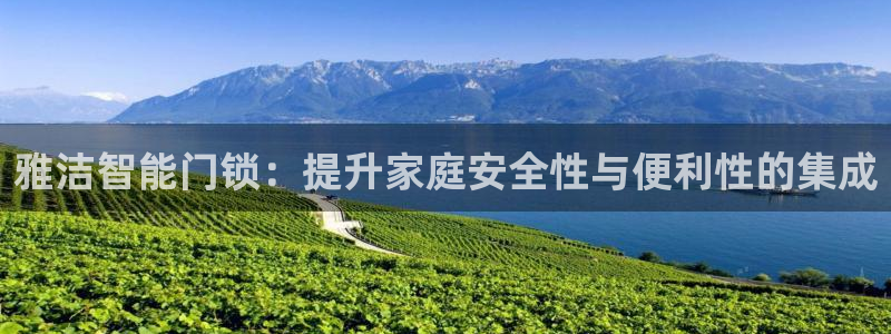 开丰娱乐注册资金多少：雅洁智能门锁：提升家庭安全性与便利性的
