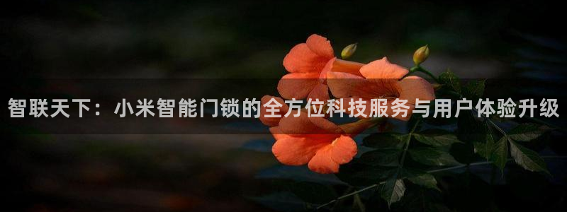 开丰娱乐予 7O935：智联天下：小米智能门锁的全方位科技服
