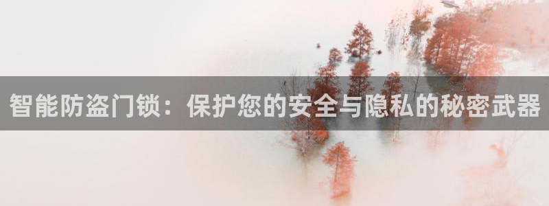 开丰娱乐日：智能防盗门锁：保护您的安全与隐私的秘密武器