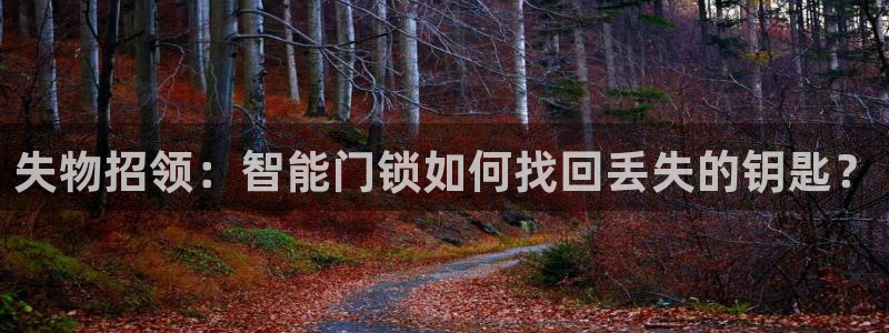 开丰娱乐姜333OO：失物招领：智能门锁如何找回丢失的钥匙？